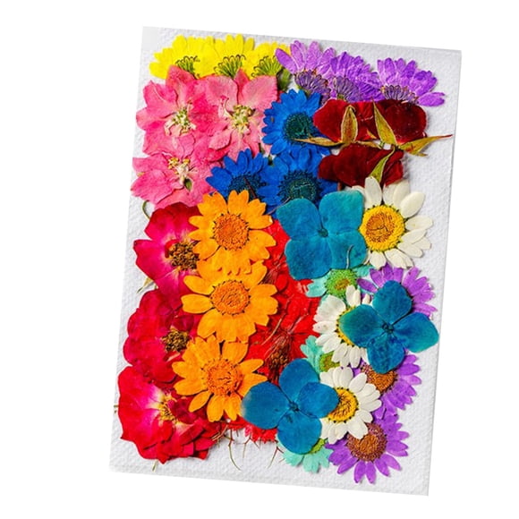 Cabezas de flores secas Jadeshay 36 piezas naturales