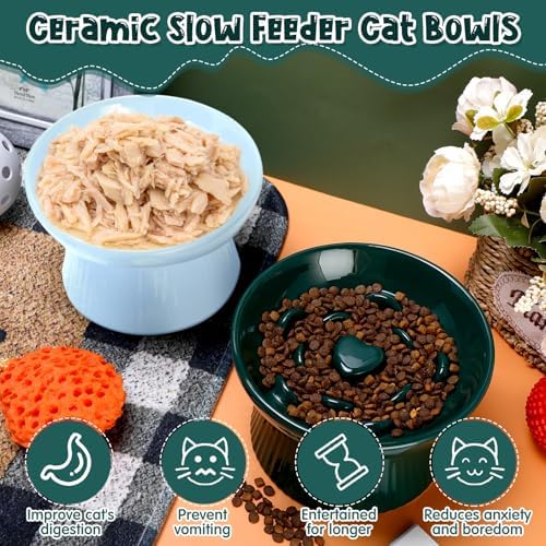 2 Pcs Raised Cat Slow Feeder Bowl Ceramic Elevated Cat Dog Food Bowl No Spill High Edge for Dry Wet Food and Water Easy to Clean, Dishwasher Safe (Dark Green,Blue)