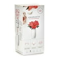 thumbnail image 4 of The Amaranth Vase - 10 Inch Smarter Vase for Floral Care, 4 of 8