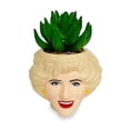 thumbnail image 1 of Minimoleta Toynk The Golden Girls de cerámica rosa con suculentas, 1 of 9