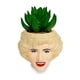 thumbnail image 1 of Minimoleta Toynk The Golden Girls de cerámica rosa con suculentas, 1 of 9