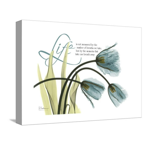 Art.com Life Tulips Stretched Canvas Print Wall Art by Albert Koetsier, 16" x 12"