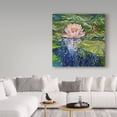 thumbnail image 3 of Trademark Fine Art 'Sweet Lotus' Canvas Art by Marcia Baldwin, 3 of 3