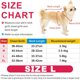 thumbnail image 2 of Vestido de perro falda de perro ropa de perro para perros pequeños niña gatito trajes para niña gatos vestido para gatos ropa para mascotas ropa de perro ropa de lujo, 2 of 5
