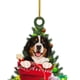 thumbnail image 3 of Navidad Colgantes Del para Amantes Los Gatos (perro Calcetín), 3 of 9