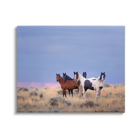 Stupell Industries Country Horses in Meadow Animals & Insects Photography Gallery Wrapped Canvas Art Print Wall Art, 30 x 24