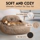 thumbnail image 4 of Cama para perros PetJett Calming Donut, tamaño mediano para perros de 20 a 45 libras, 4 of 8
