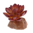 thumbnail image 1 of TERRARIUM Falso MULTISUCULENTE PLANTA DECORACIÓN VIVARIUM - 1, 1 of 5