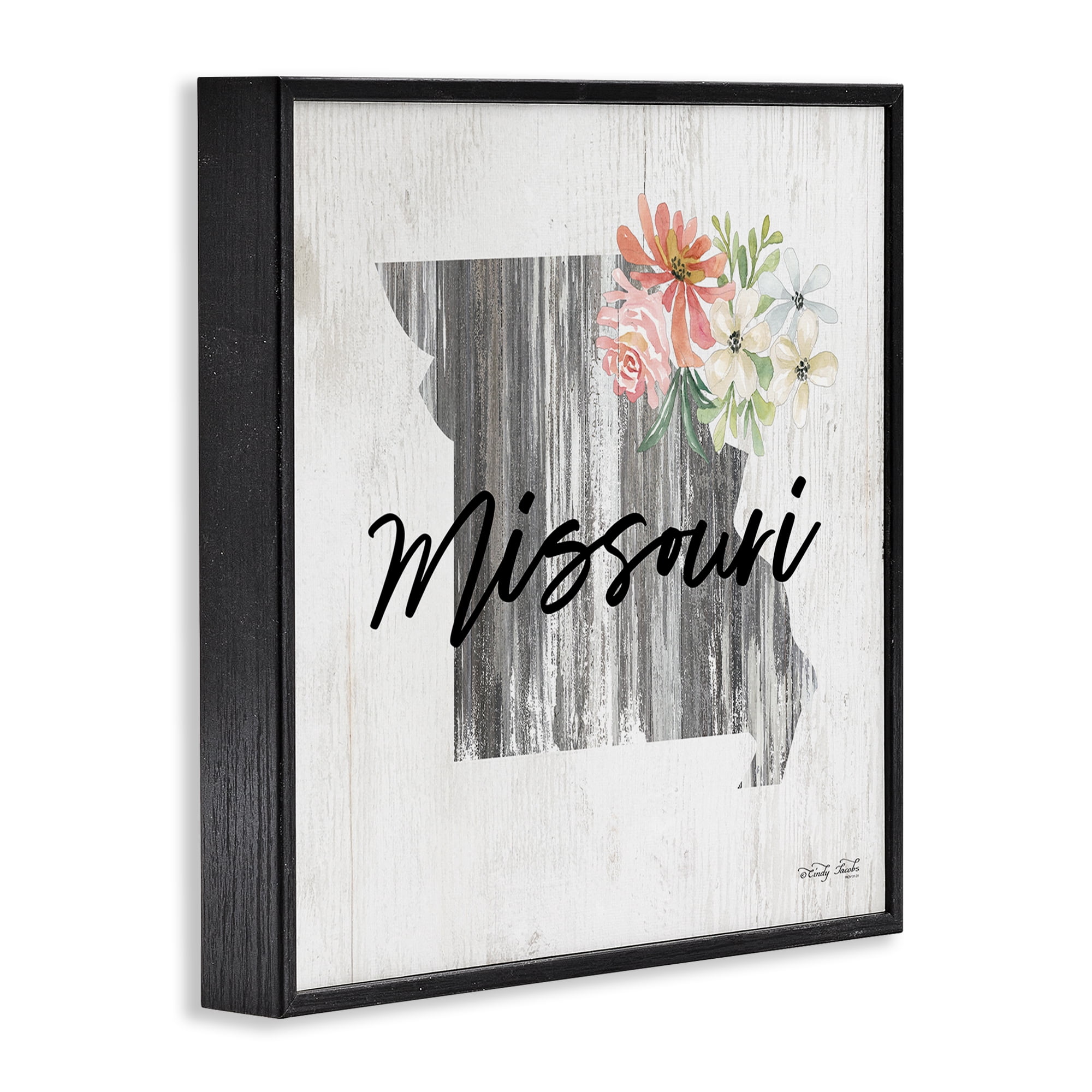 Stupell Industries Shabby Chic Missouri Botanical & Floral Painting Black Framed Art Print Wall Art, 24 x 24