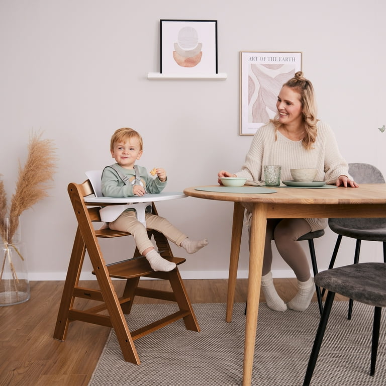 uppababy knox review UPPAbaby Knox Convertible Car Seat