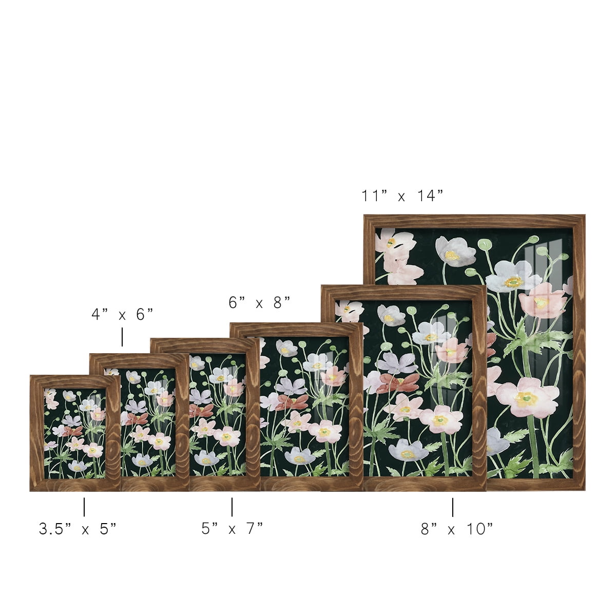 Anemone Dance II -Framed Print w/glass-Walnut