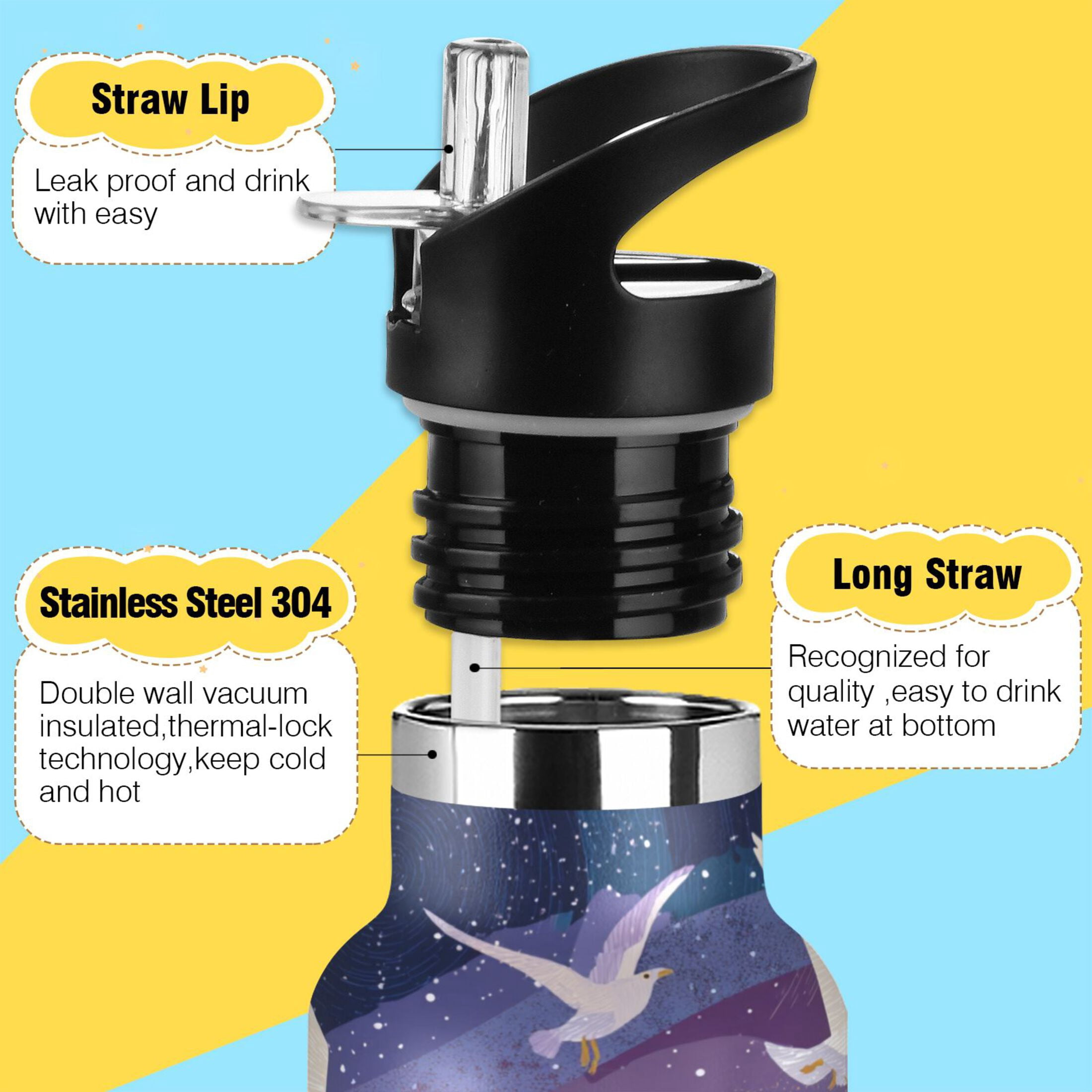 600ML Stainless Steel Insulated Cup Sports Water Bottle Portable Thermos Cup Water Glasses Insulated Tumblers Convenient and Durable Beautiful Seagulls
