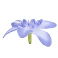 thumbnail image 4 of 10Pcs Artificial Orchid Fake Flowers Simulate Floral for Wedding Bridal Wreath Decoration Blue, 4 of 8