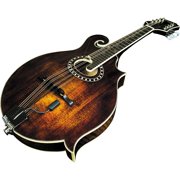 Radius-M Guitar Pickup for Mandolin