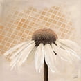 thumbnail image 3 of Walela R. 15x15 Black Modern Framed Museum Art Print Titled - Moroccan Daisy 2, 3 of 5