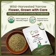 thumbnail image 6 of Organic Way Yarrow Flower Cut Sifted Herbal Loose Leaf Tea USDA Organic Decaffeinated Natural Vegan Non-GMO 4 oz, 6 of 9