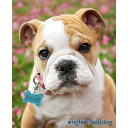 English Bulldog : A Gift Journal for People Who Love Dogs: English Bulldog Puppy