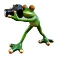 thumbnail image 5 of Miulika Resin Frog Photographer Figurine Indoor Yard Decoration Decorative Lovely Lawn Ornament for Fairy Garden Accessories Lifelike, 5 of 9