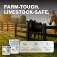 thumbnail image 3 of Evolve Barn & Fence Latext Paint, High Durability and Scratch-Resistant Wood Paint, White, 1 Gallon, 3 of 10