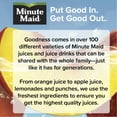 thumbnail image 6 of Minute Maid Peach Flavored Fruit Juice, 20 fl oz Bottle, 6 of 14