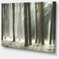thumbnail image 1 of Designart - Maritime Pine Tree Forest with Rays - Oversized Forest Canvas Art, 1 of 2