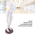 thumbnail image 4 of Acupuncture Model Human Body Model Full Body Acupuncture Practice Tool With Base Acupuncture Model Human Body Acupuncture Model Acupuncture Model With Base Full Body Acupuncture, 4 of 7