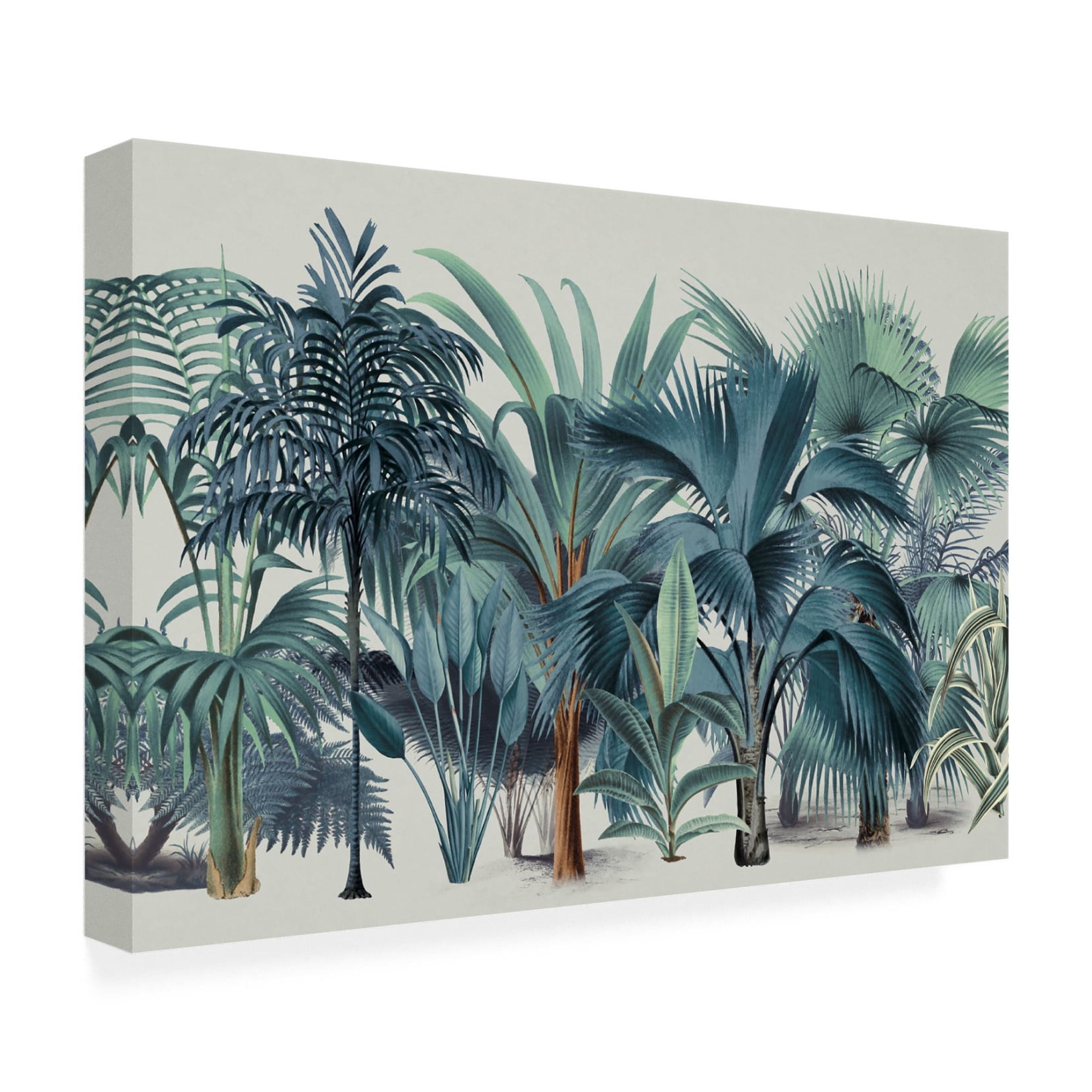 Trademark Fine Art Andrea Haase  Exotic Wildlife 004 1 Canvas Wall Art