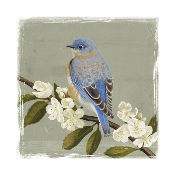 Art.com Bluebird Branch II Art Print by Victoria Borges, 16" x 16"