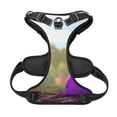 thumbnail image 5 of Lsque Pikmin Dog Harness, No-Pull Pet Harness with 2 Leash Clips, Adjustable Soft Padded Dog Vest with Easy Control Handle for Large Dogs-Large, 5 of 9