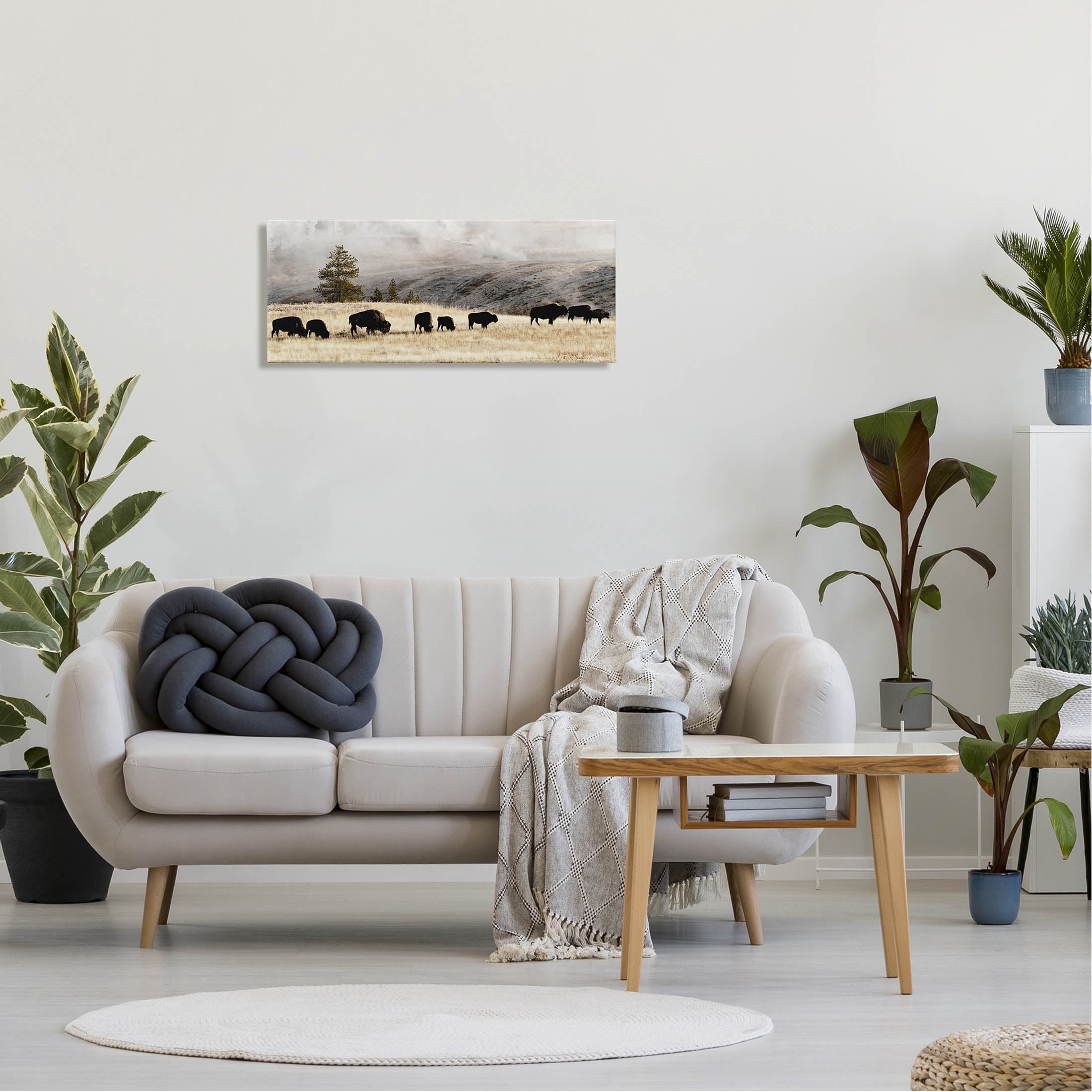Grazing Bison Rural Country Fog Animals & Insects Photograph Gallery Wrapped Canvas Print Wall Art