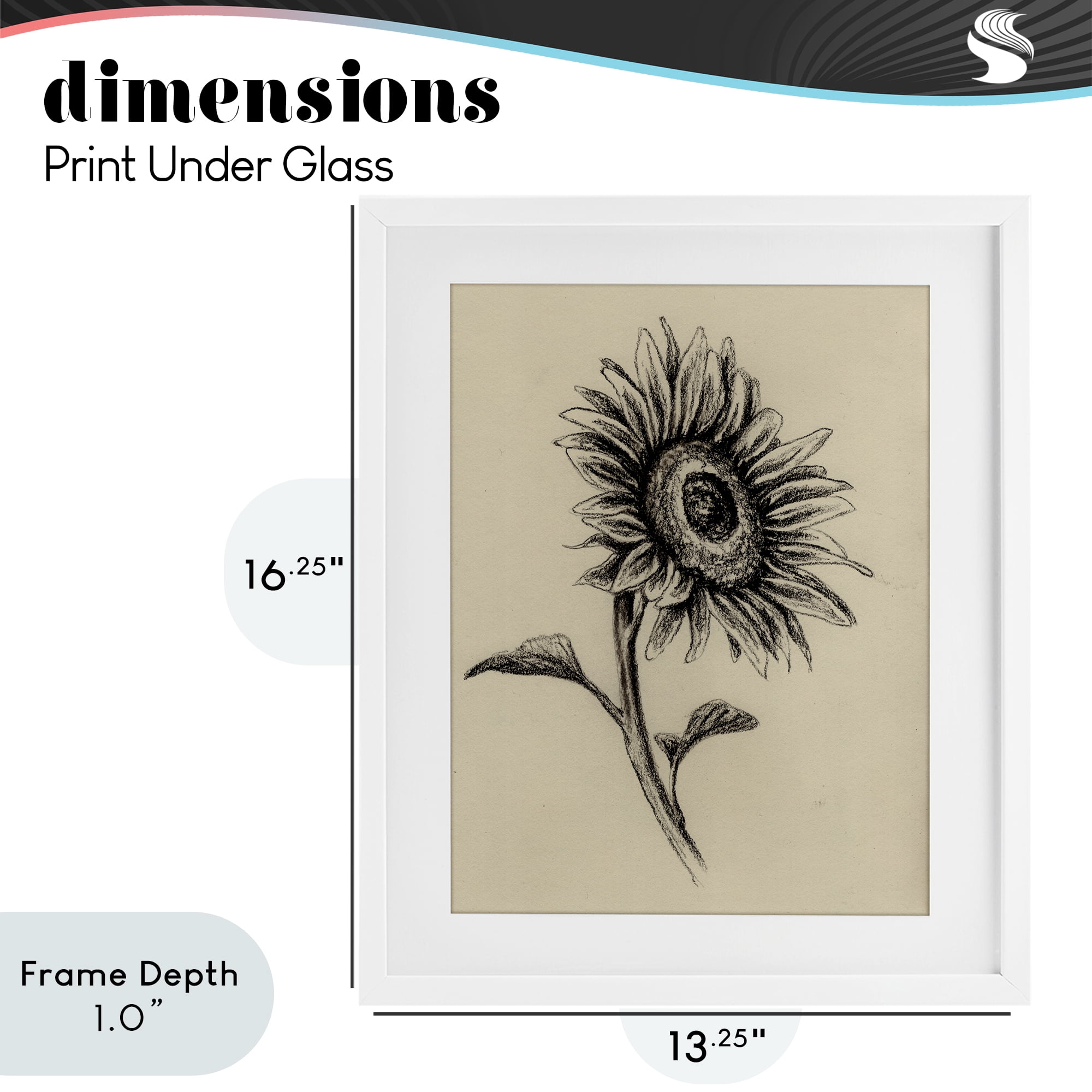 Stupell Industries Sunflowers in Charcoal White Framed Print Under Glass, design by Leah Noel Art