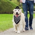 thumbnail image 6 of Dalrosia Dog Cowboy Hat Dog Cowboy Costume for Small Pet Dogs Cat Cowboy Hat with Bandana Scarf Set Party Accessories, 6 of 6