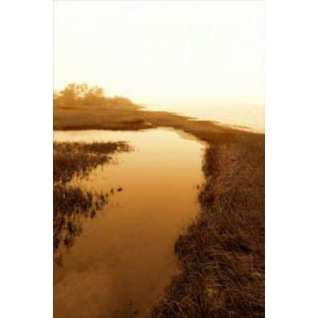 Harkers Island Marsh II Canvas Art - Alan Hausenflock (12 x 18)