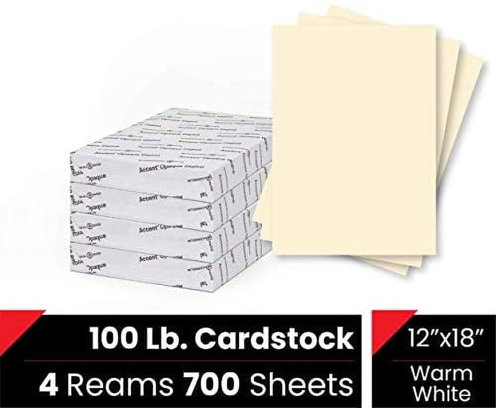 Accent Opaque Cream-Colored 11” x 17” Cardstock Paper, 100lb, 271gsm – 700 Sheets (4 Reams) – Premium Super Smooth Heavy Cardstock, Warm White Printer Paper for Ink Heavy Projects – 121918C