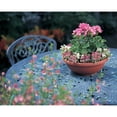 thumbnail image 4 of Akro Mils GAB14000E35 Garden Bowl with Removable Drain Plugs, Clay Color, 14-Inch, 4 of 5