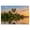 Color 4, variant on Puzzles for Adults 1000 Pieces Serene Sunset River Wooden Jigsaw Puzzles Palm Trees Tropical plant Challenging Fun Family Game Party Gifts for Women Men Seniors Christmas