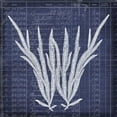 thumbnail image 2 of Robertson, Walter  20x20 Black Ornate Wood Framed with Double Matting Museum Art Print Titled - Seaweed Document 1, 2 of 4