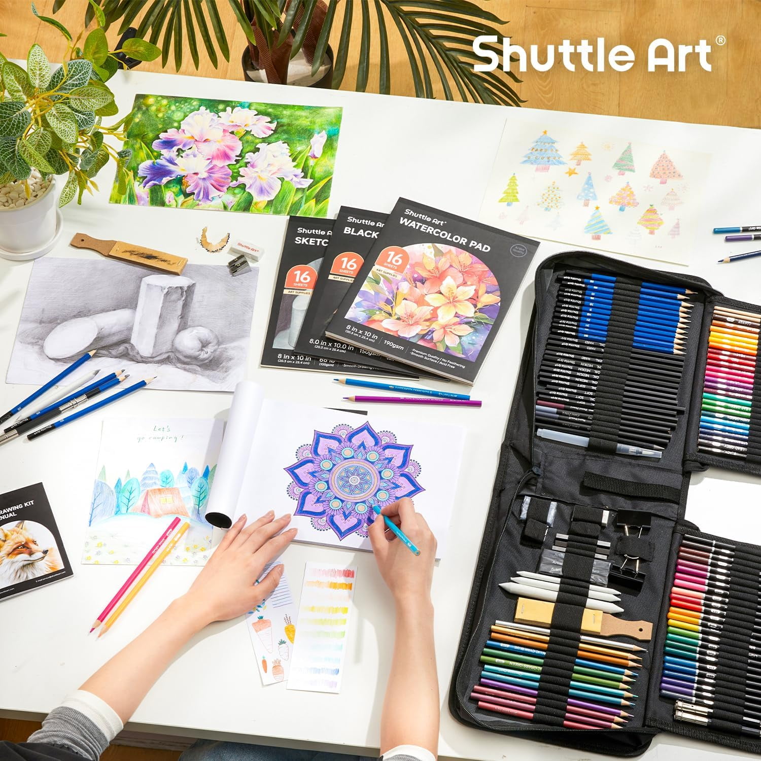 Shuttle Art 116 PCS Drawing Kit, Professional Drawing Supplies with Sketch, Charcoal, Colored, Graphite, Pastel Pencils & Sticks, Complete Drawing Tools and Paper Pads in Zipper Case
