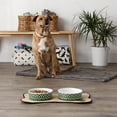 thumbnail image 4 of Bone Dry Lattice Pet Bowl, Dishwasher Safe, Large Set, 7.5x2.4", Hunter Green, 2 Count, 4 of 5