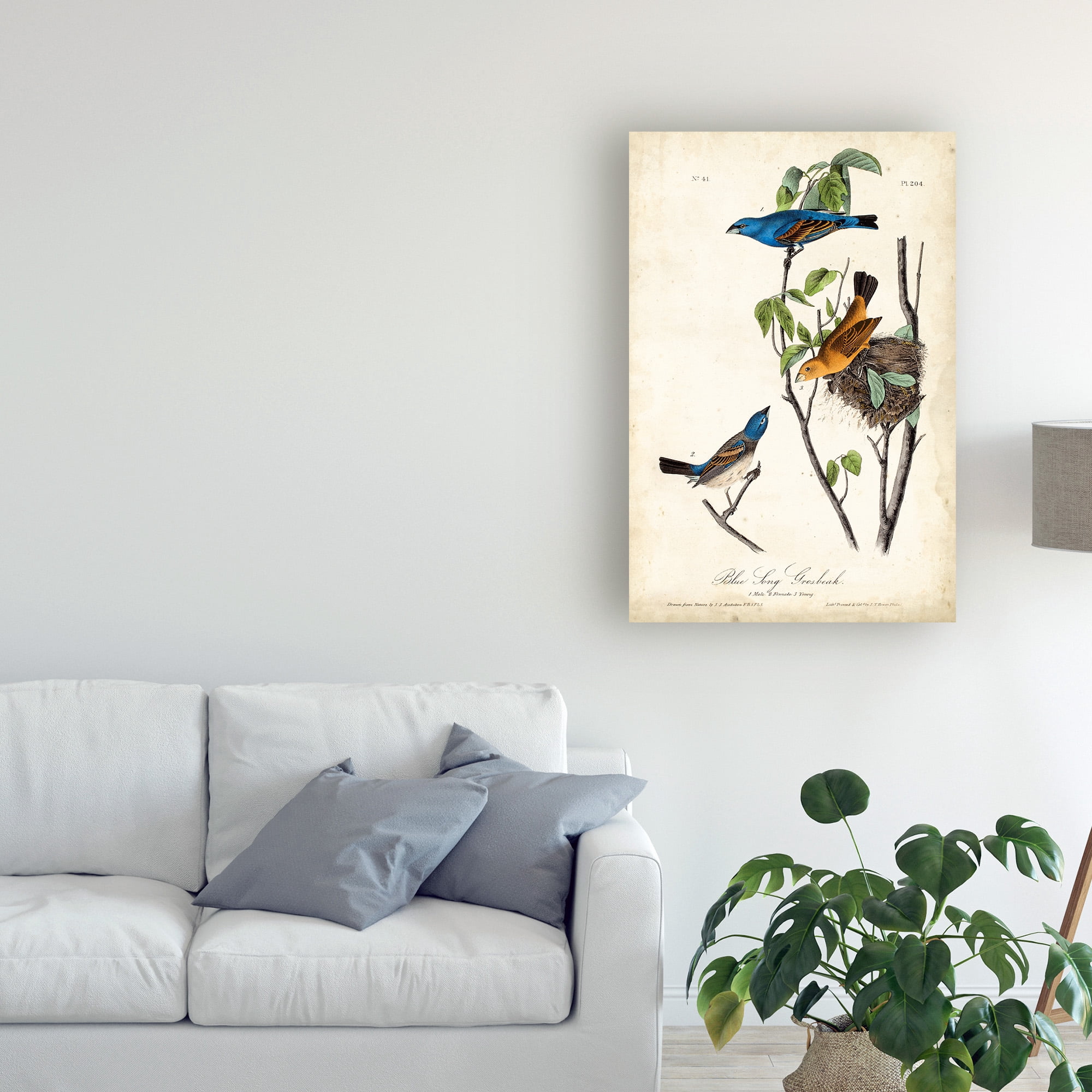 Trademark Fine Art 'Blue Song Grosbeak' Canvas Art by John James Audubon
