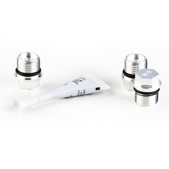 Briggs & Stratton Plug Kit | 317056GS