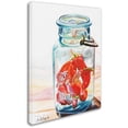 thumbnail image 2 of Trademark Fine Art "Ball Jar Ideal Peppers" Canvas Art by Jennifer Redstreake, 2 of 3