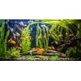 thumbnail image 2 of Penn Plax Sinkers Blooming Ludwigia Aquarium Plant Green, 2 of 2