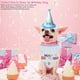 thumbnail image 4 of Bufanda de feliz cumpleaños para perro y Gato, bonito sombrero de fiesta, sombrero de cumpleaños para niña y niño, conjunto de disfraz de fiesta de cumpleaños para mascota, 4 of 5