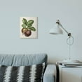 thumbnail image 3 of Stupell Industries Vintage Fruit Painting Wall Plaque Art by Vision Studio, 3 of 3