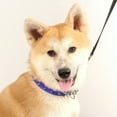 thumbnail image 4 of Dog Collar with Rivets Adjustable Buckle PU Leather Chic Collars for Medium Large Dogs, 4 of 8
