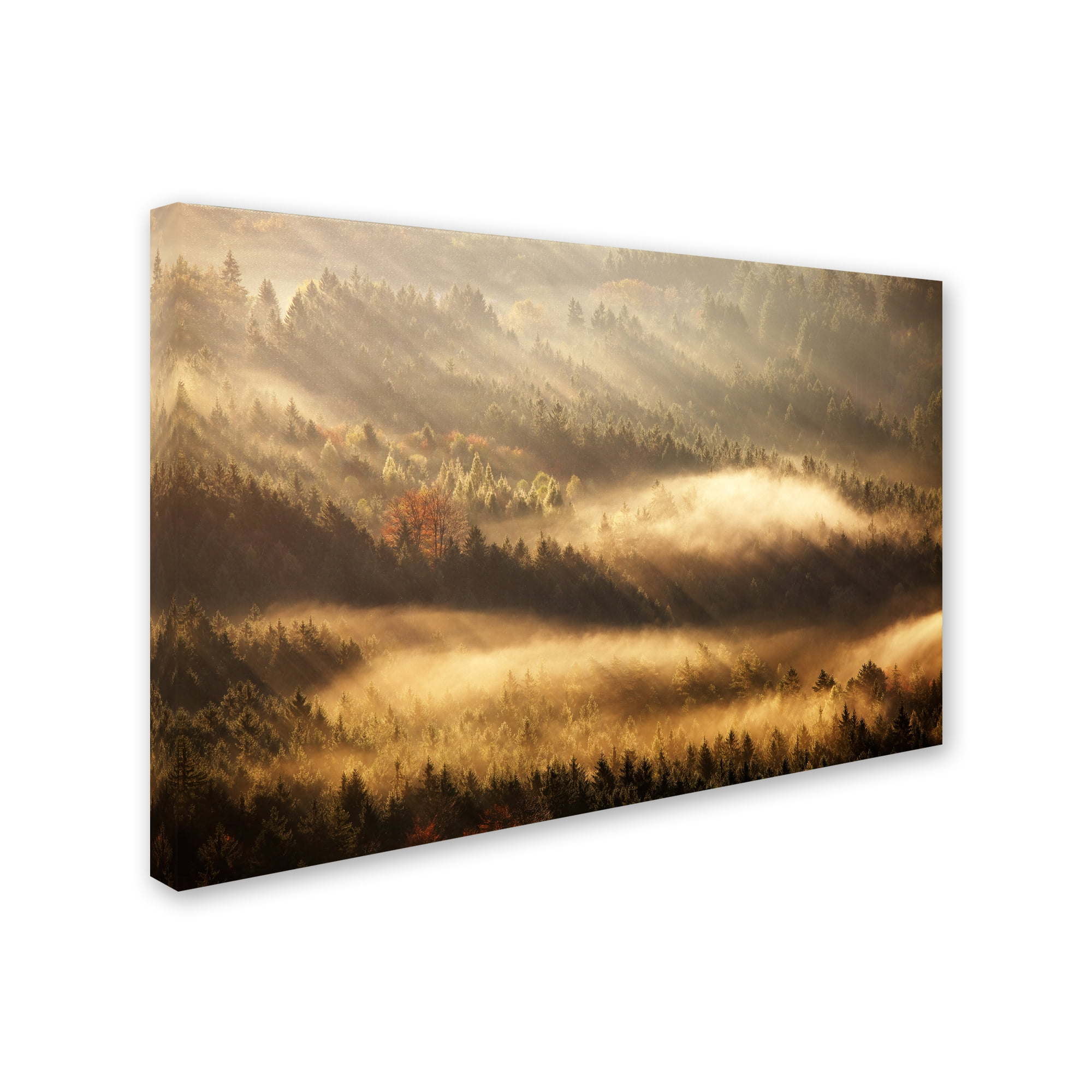 Martin Rak 'Autumn Rays' Canvas Art