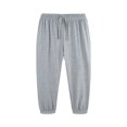 thumbnail image 5 of NOEGOEU Boys Sweatpants Soft Drawstring Joggers with Elastic Waist Pockets Relaxed Tapered Design (Light Gray,3-4 Years), 5 of 6