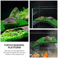 thumbnail image 3 of Plataforma de pasajero de 2 piezas Tortuga Suministro de mascotas Tortoise Repiniting Reptile Platform de escalada, 3 of 6