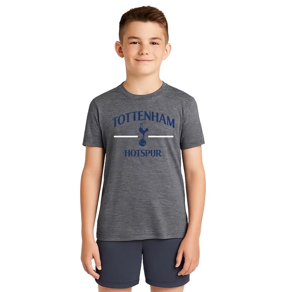 Icon Sports Official Tottenham Hotspur FC Cotton T-Shirt - Unisex Kids - TOT234CT Heather Grey YM